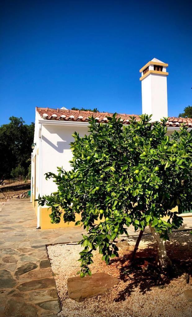 Casa Do Forno Evora Retreat Villa Redondo Exterior photo